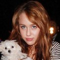 *Miley 100%* - miley-cyrus photo