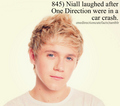 1D facts ! x <3 - one-direction photo