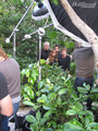 BTS of The Hollywood Reporters Hunger Games cover photo shoot - the-hunger-games photo