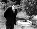 Buster Keaton - hottest-actors photo
