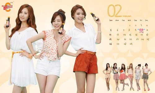 Girls' Generation Vita500 February 2012 calendar