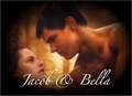 Jacob & Bella - twilight-series photo