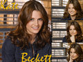 kate-beckett - Katherine Beckett <3 wallpaper