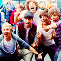One Direction Stole My Heart ! xx <3 - one-direction photo