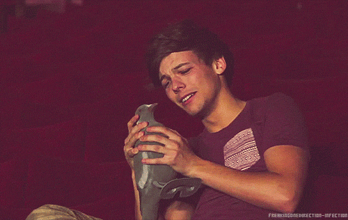 Pigeon Kevin...xDD - one-direction Photo