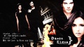 the-vampire-diaries-tv-show - Promise This... wallpaper