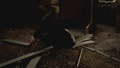 the-vampire-diaries-tv-show - The Vampire Diaries 3x13 Bringing Out the Dead  HD Screencaps screencap