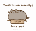 Tumblr - pusheen-the-cat photo