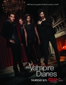 the vampire diaries season 3 poster - stefan-and-elena photo