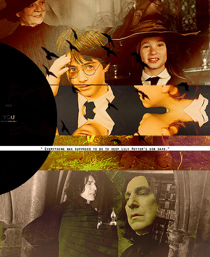 "Everything was supposed to be to keep Lily Potter 's son safe"