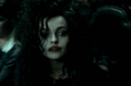 Bellatrix - bellatrix-lestrange photo