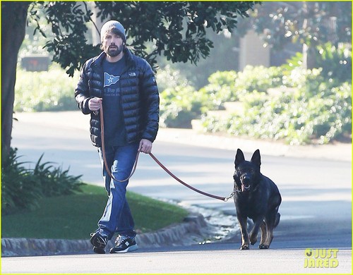  Ben Affleck: Morning Walk with the Dog