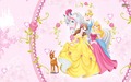 Cinderella, Belle and Aurora - disney-princess photo
