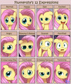 Fluttershy's 12 Expressions - my-little-pony-friendship-is-magic photo