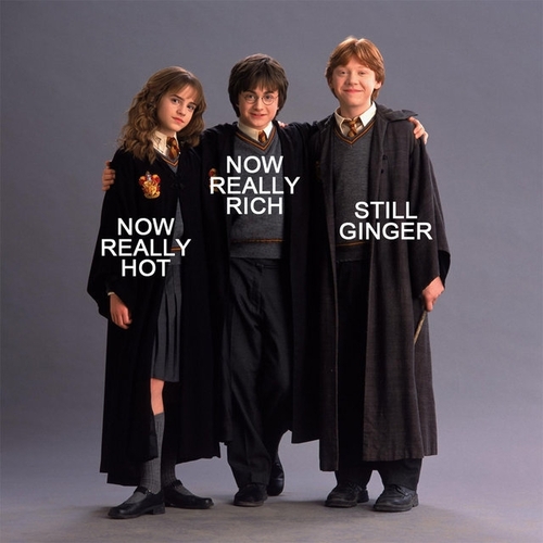 Gotta love Harry Potter