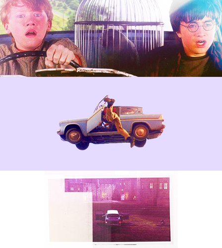 Harry and Ron 