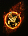 Hunger Games Fan Art - the-hunger-games fan art