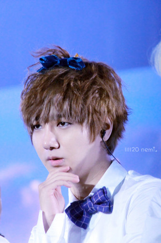  Super mostra 4 (Yesung)