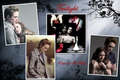 The Twilight Saga - Fan Art - twilight-series fan art