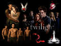 The Twilight Saga - twilight-series photo
