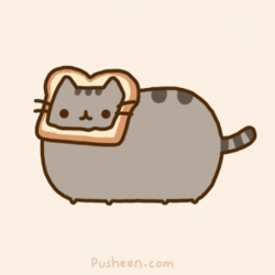 Things-that-cats-apparently-don-t-mind-pusheen-the-cat-28861595-250-250.gif