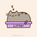 Things that cats apparently don't mind - pusheen-the-cat photo