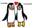 Tressa and Kowalski - penguins-of-madagascar fan art