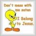 Tweety and Jesus - jesus icon
