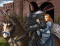 Sandor Clegane & Sansa Stark - a-song-of-ice-and-fire photo