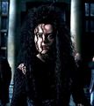 Bellatrix Lestrange - bellatrix-lestrange photo
