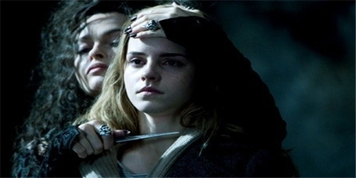  Bellatrix and Hermione