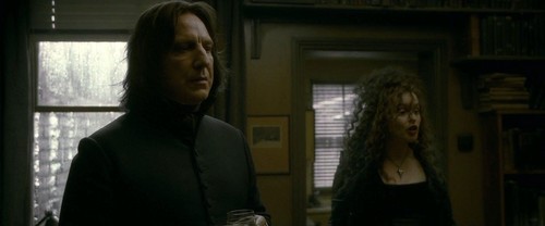  Bellatrix and Snape