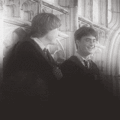 harry-potter - Harry and Ron - frienship screencap