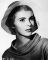 Jean Dorothy Seberg (November 13, 1938 – August 30, 1979 - celebrities-who-died-young photo