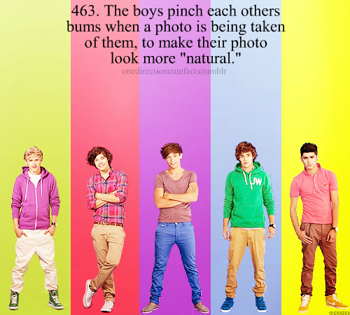 One Direction's Facts <33