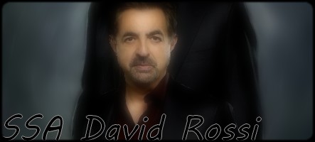  SSA David Rossi