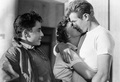 Sal Mineo, Natalie Wood and James Dean - celebrities-who-died-young photo