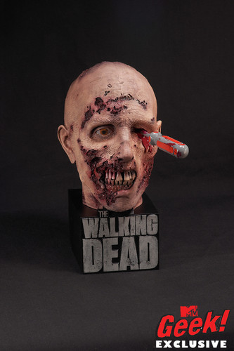  The Walking Dead Season 2 DVD case
