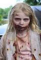 Zombies - the-walking-dead photo