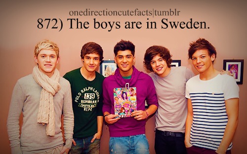  1D facts ♥