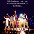 1Derful Facts! ♥ - one-direction photo