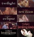 Bella and Edward's kisses through Twilight Saga - twilight-series fan art