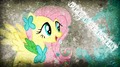 Fluttershy~ - my-little-pony-friendship-is-magic fan art