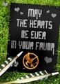 Hunger Games Valentines - the-hunger-games photo