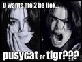MJ: I can be your pussycat... or tiger! - michael-jackson-funny-moments photo