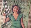 Nat with the parrot - natalie-wood photo