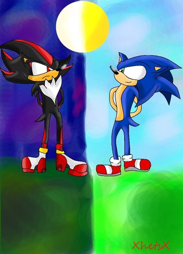  Sonic and Shadow