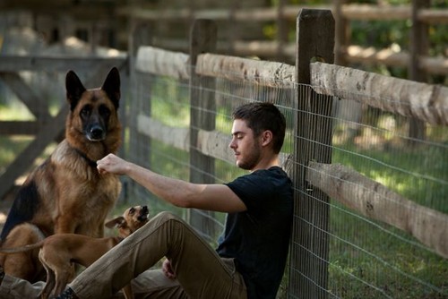  The Lucky One - New Set foto