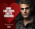 the vampire diaries ღ Valentine's Day Special - the-vampire-diaries-tv-show photo