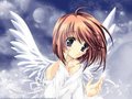 Anime angel - anime photo